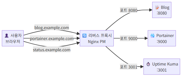 리버스 프록시 동작 원리 다이어그램 - Proxy Manager