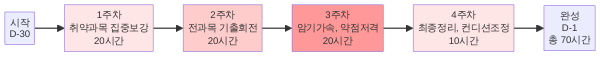 D-30 4주 마스터 플랜 타임라인